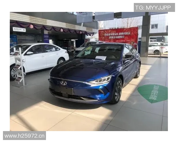 排球装备选购指南：如何选择适合自己的排球拍与配件推荐