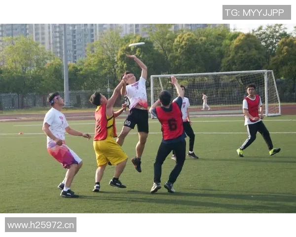 杭州飞盘队比赛经验分析与数据解读探讨